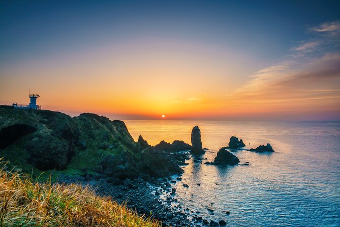 1-Day Jeju Shore Excursion – UNESCO Highlights for Cruise Guests - Key things to know before booking