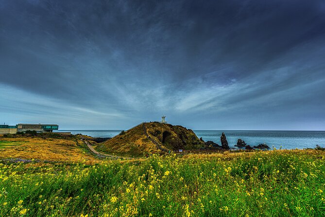 1-Day Jeju Shore Excursion – UNESCO Highlights for Cruise Guests - Who should book this Jeju shore excursion?