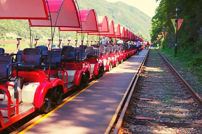Alpaca World and Nami Island with Gangchon Rail Bike Tour - Three very different Korean day-trip stops