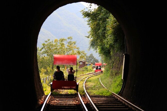 Alpaca World and Nami Island with Gangchon Rail Bike Tour - Gangchon Rail Park and the old railway route