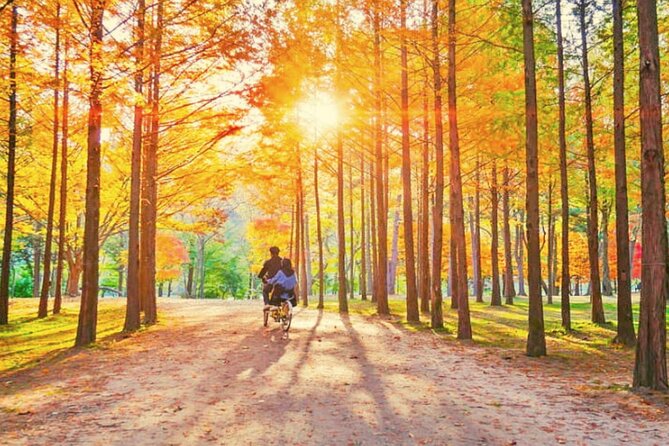 Alpaca World & Nami Island & Garden of Morning Calm One Day Tour - Garden of Morning Calm: a peaceful final stop