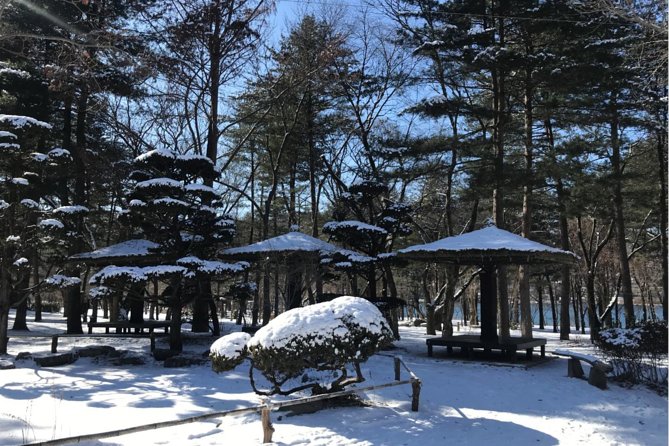 Alpaca World & Nami Island & Garden of Morning Calm One Day Tour - The bus ride is part of the bargain