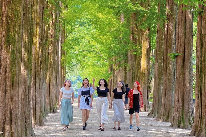 Alpaca World & Nami Island & Garden of Morning Calm One Day Tour - Lunch and daily expenses