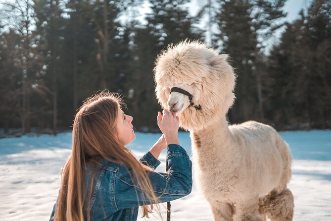 Alpaca World & Nami Island & Garden of Morning Calm One Day Tour - Who will enjoy this tour most