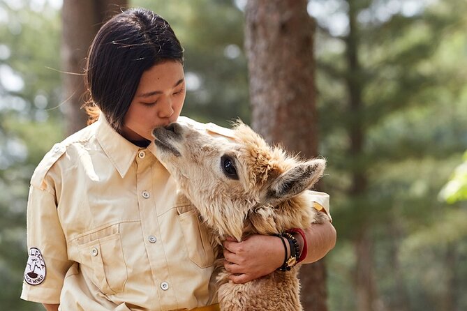 Alpaca World & Nami Island & Garden of Morning Calm One Day Tour - Alpaca World: the hands-on highlight
