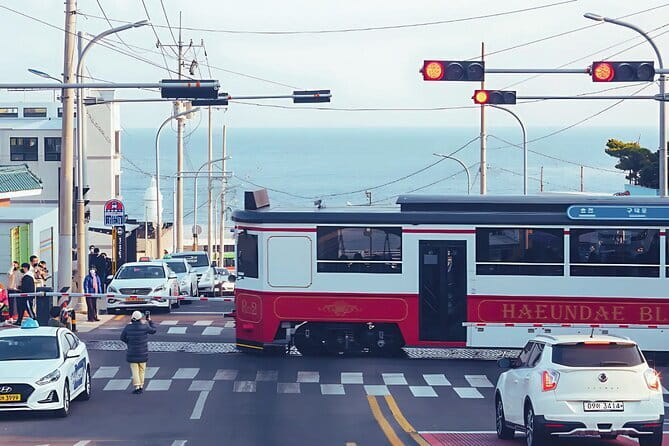 Authentic Busan Full-Day City Highlights Tour - The best use of one day in a spread-out city