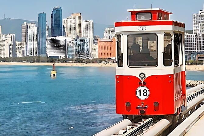 Authentic Busan Full-Day City Highlights Tour - Haedong Yonggungsa and the sea