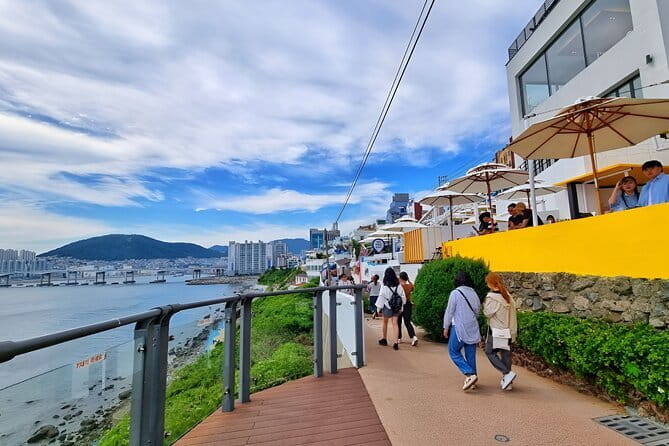 Authentic Busan Full-Day City Highlights Tour - A quiet hour at the UN Memorial Cemetery