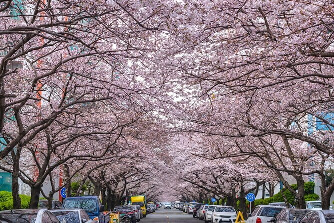 Authentic Busan Full-Day City Highlights Tour - Gamcheon Culture Village and the final views