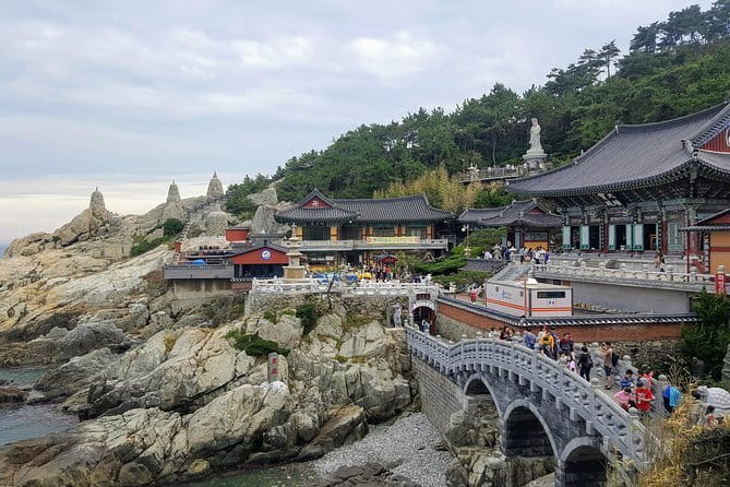 Authentic Busan Full-Day City Highlights Tour - The Jagalchi drop-off is short but useful