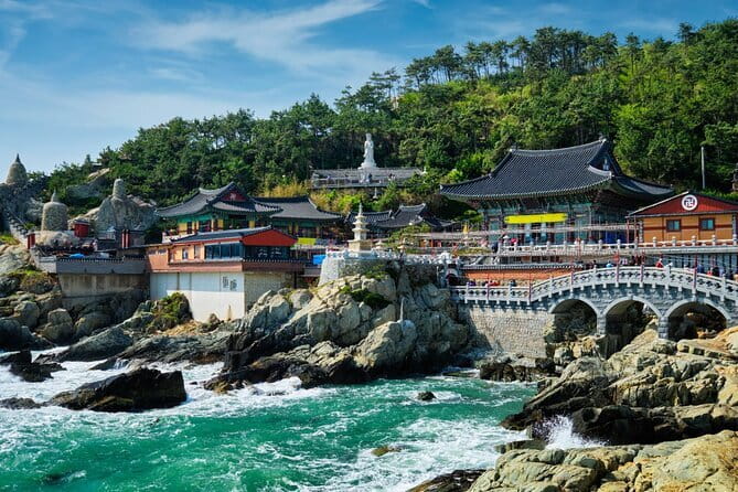 Authentic Busan Full-Day City Highlights Tour - Food, transport, and what you pay for