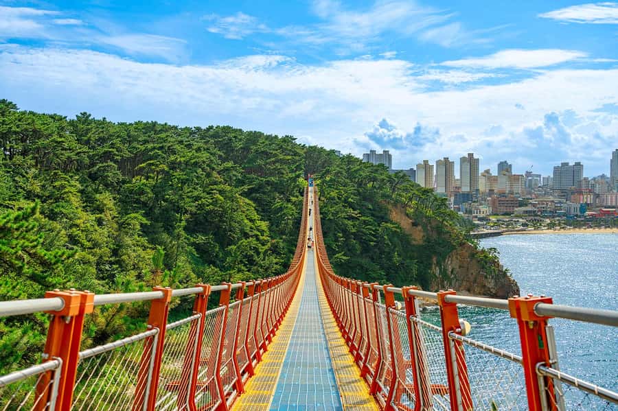 Busan: 7 Highlights Gyeongju City One Day Tour - Why Gyeongju Works So Well as a Day Trip from Busan