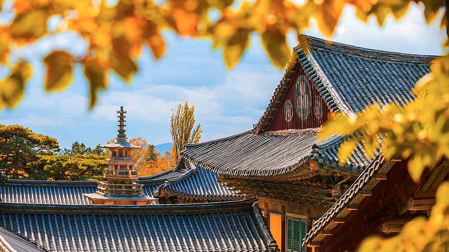 Busan: 7 Highlights Gyeongju City One Day Tour - Hwangnidan-gil: Gyeongju’s Food and Street Life