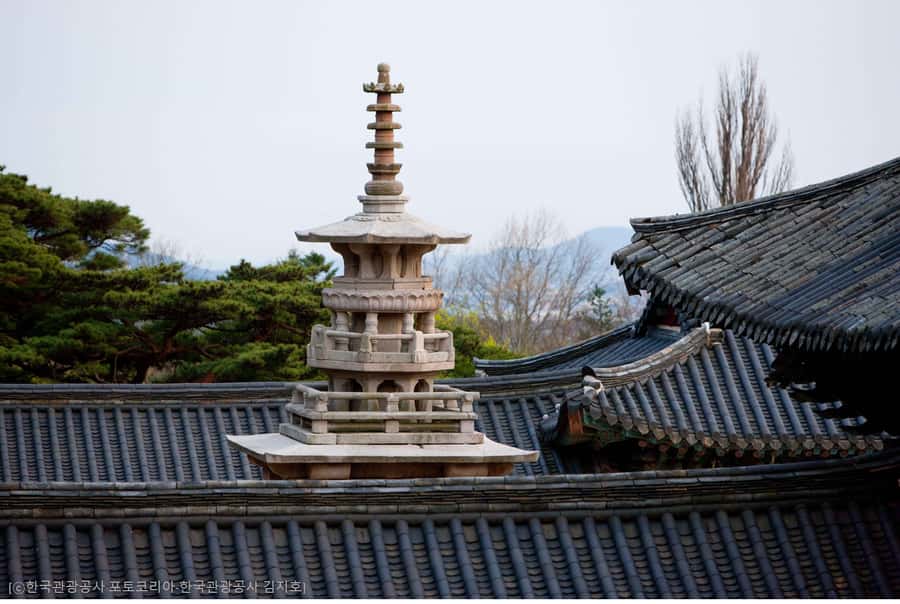 Busan: 7 Highlights Gyeongju City One Day Tour - What the $47 Price Really Buys You