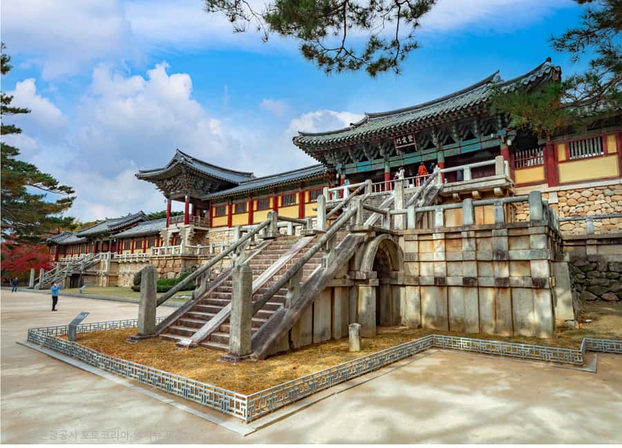 Busan: 7 Highlights Gyeongju City One Day Tour - Guides, Group Comfort, and Physical Demands