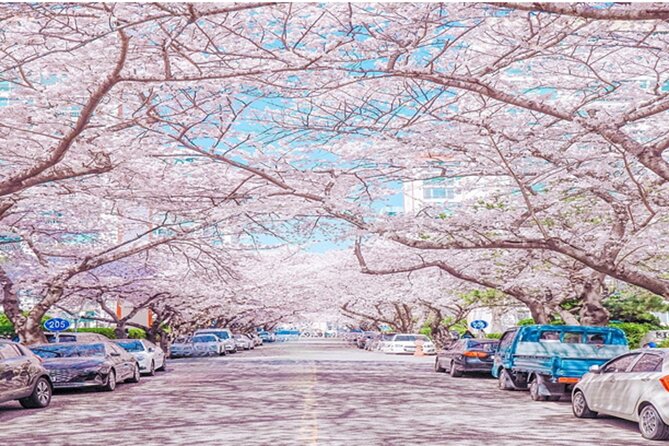 Busan Cruise Port – Premium Small Group Tour (Max 6 Guests) - Naeri-gil and the look of a Busan hanok