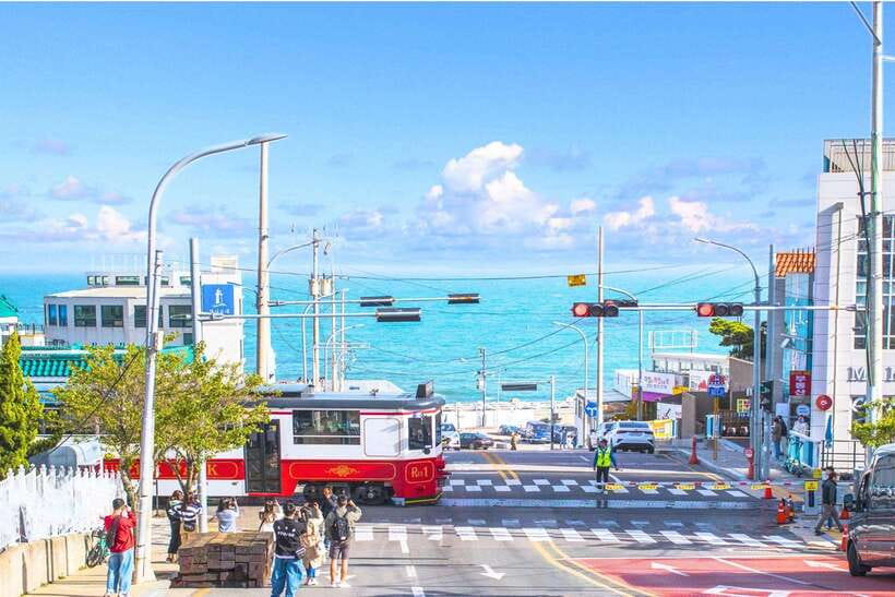 Busan: Full-Day City Tour with Taejongdae, Gamcheon & More - Key points to know before booking