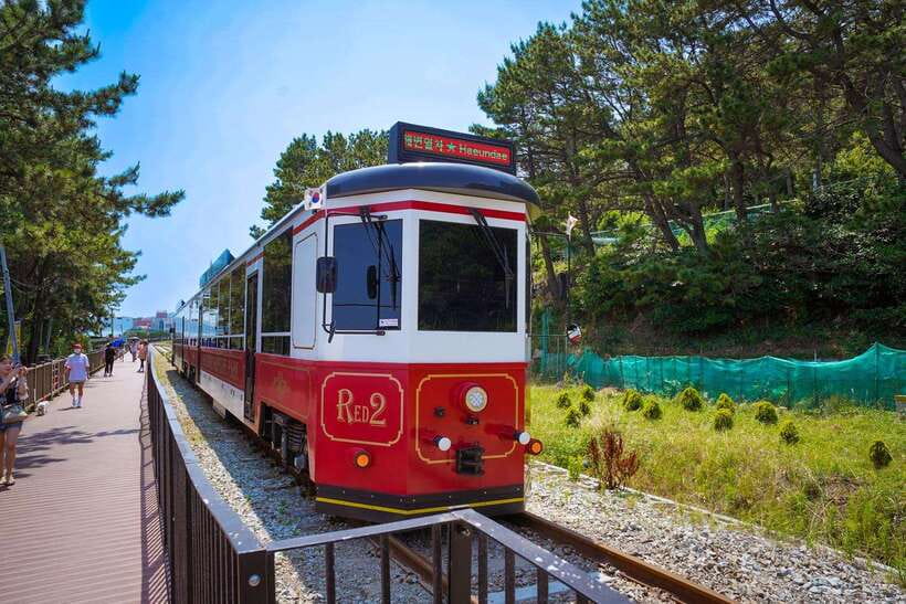 Busan: Gamcheon Village and Haeundae Blueline Park Tour - Who should book this tour?