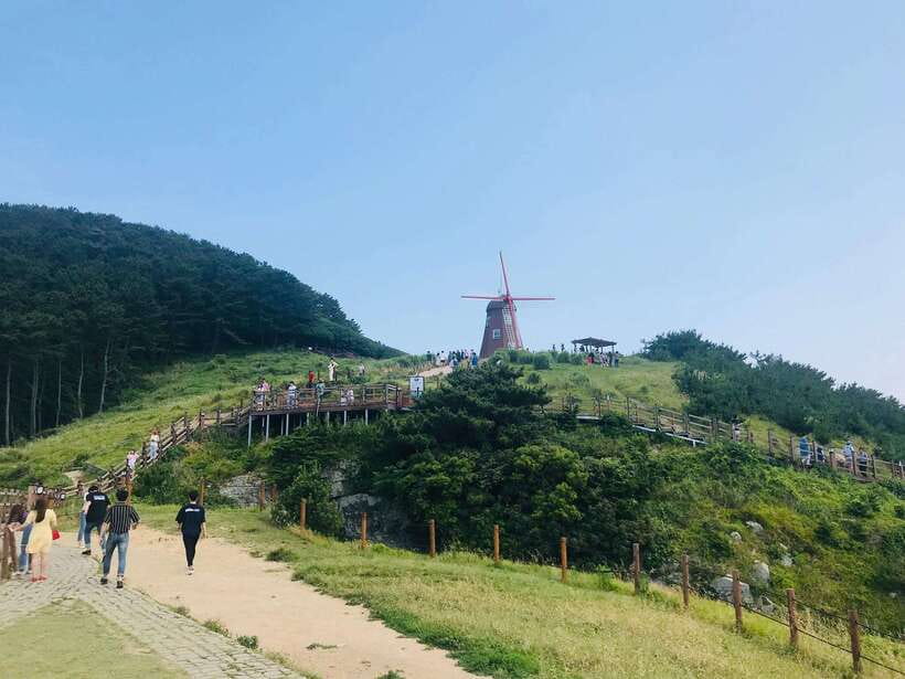 Busan: Geoje Coastal Escape, Sea Breeze, Oedo Botania Island - Geunpo Village tunnels and the final stop