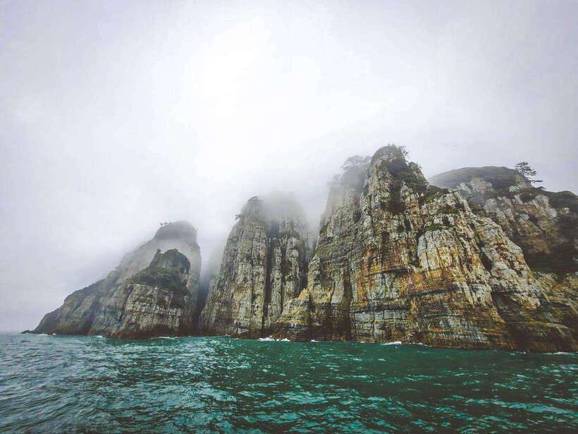 Busan: Geoje Coastal Escape, Sea Breeze, Oedo Botania Island - Should you book the Geoje and Oedo day trip?