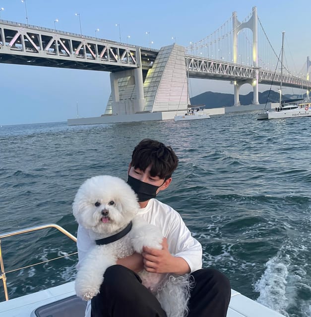 Busan: Group Sightseeing Yacht Cruise with Snacks and Drinks - A short yacht ride with Busan’s best waterfront view