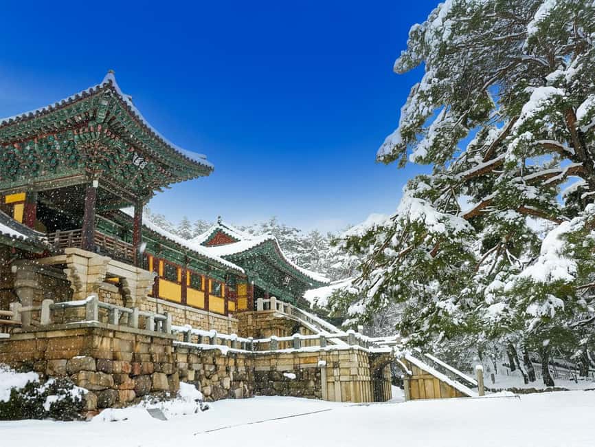 Busan: Gyeongju UNESCO Legacy Tour with National Museum - Lunch and the road to Gyeongju