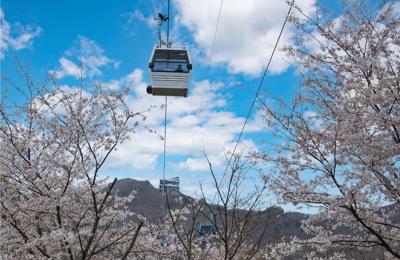 Busan: Hidden Gem Geoje & Oedo Botania Island & Cable car - From Busan to Geoje in a comfortable small group