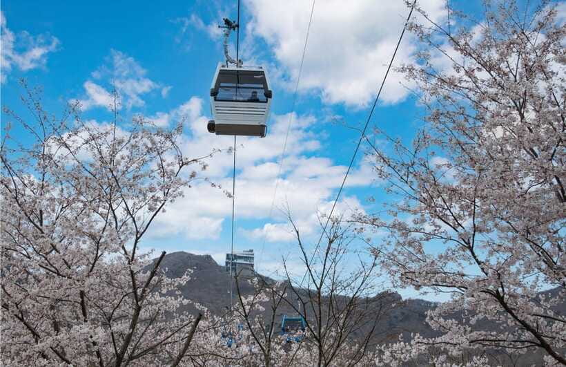 Busan: Hidden Gem Geoje & Oedo Botania Island & Cable car - Windy Hill and the coast around Geoje