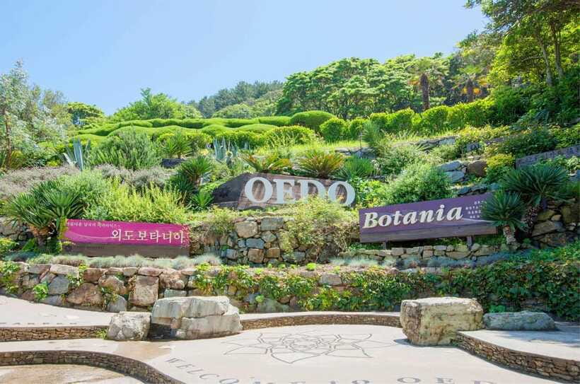 Busan: Hidden Gem Geoje & Oedo Botania Island & Cable car - What the day feels like in practice
