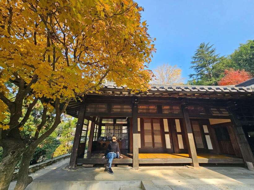 Busan: Hidden Gems Private Tour with a Certified Guide - How customization changes the day
