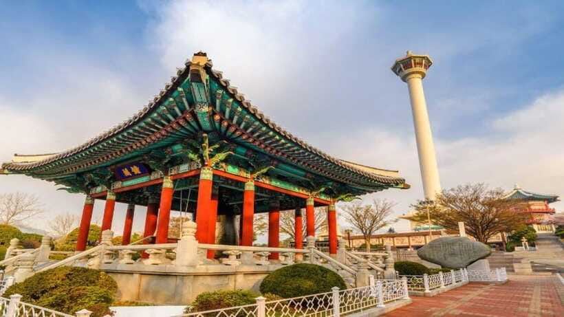 Busan: Jagalchi Market & Gamcheon village Walking Tour - A private walk is the main value
