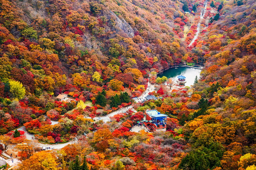 Busan: Naejangsan National Park Autumn Foliage One Day Tour - Why Naejangsan earns a place on your autumn plans