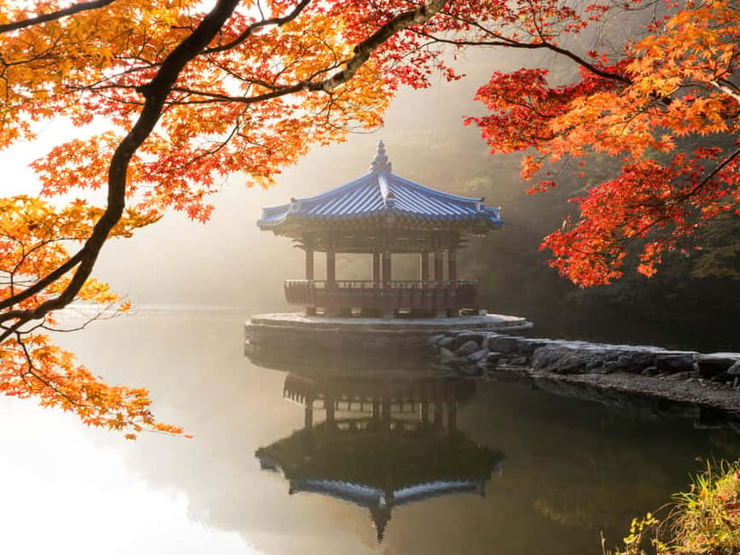 Busan: Naejangsan National Park Autumn Foliage One Day Tour - Arriving around 10:40 a.m. at Naejangsan