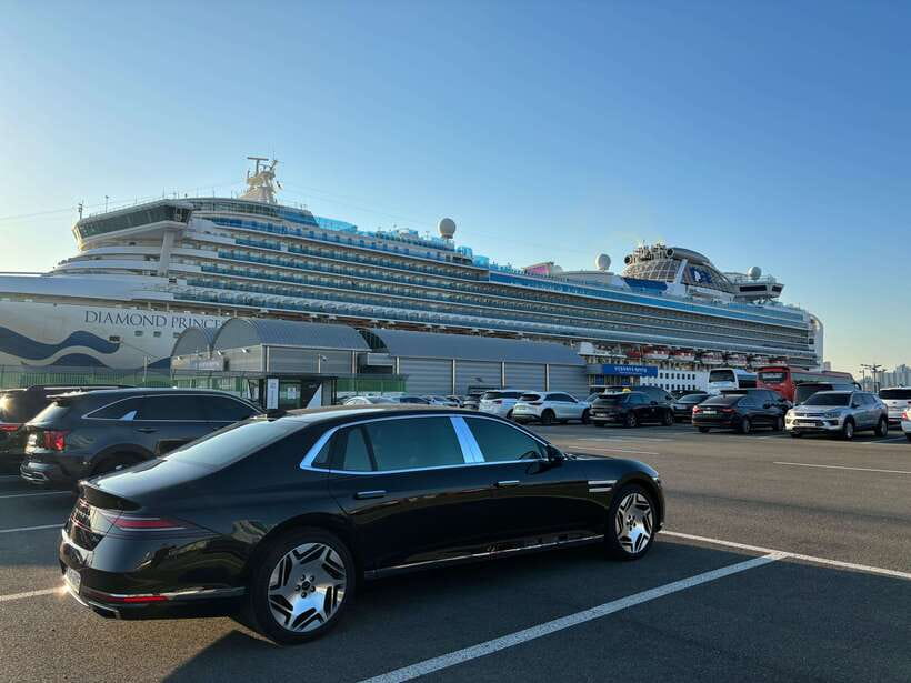 Busan: Private Car Charter Customized City Tour - Why a private car helps in sprawling Busan