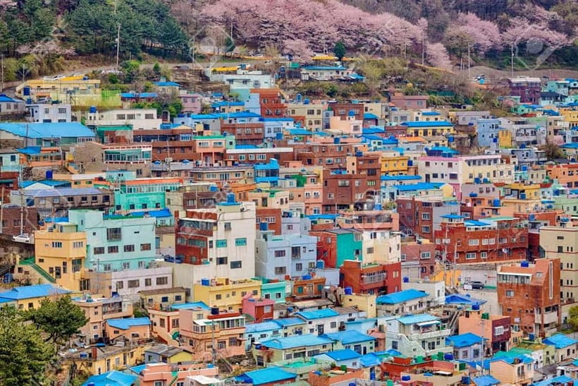 Busan: Private Chartered Car Tour - What the driver adds to the day