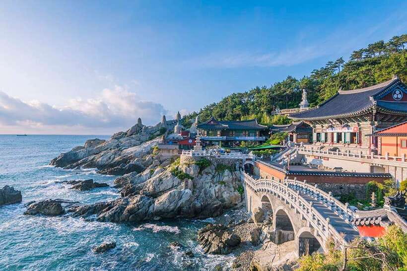 Busan's Best: Sea Temples, Yacht Tour & Sky Capsule Day Tour - Who should book this experience