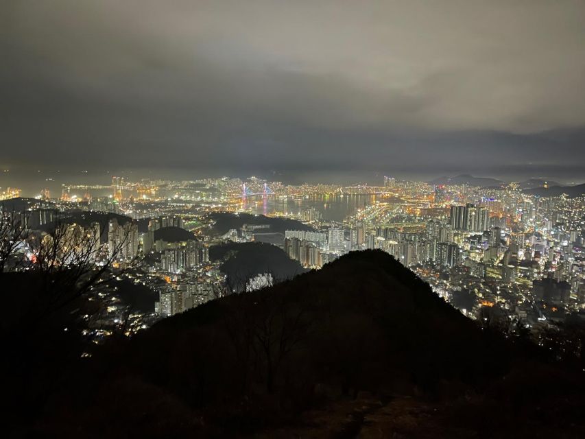 Busan: The Best Night View Small Group Tour - What the local guide adds