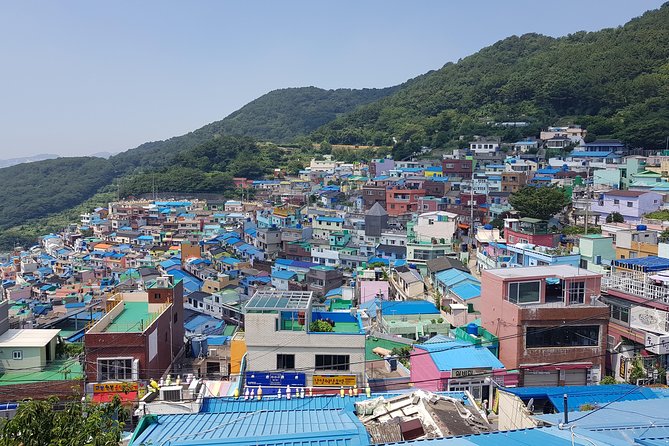 Busan Tour: Gamcheon Village & Haedong Yonggungsa Temple + Lunch - Why this tour works for a first day in Busan