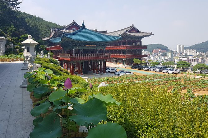 Busan Tour: Gamcheon Village & Haedong Yonggungsa Temple + Lunch - Hwangnyeongsan provides the big city view