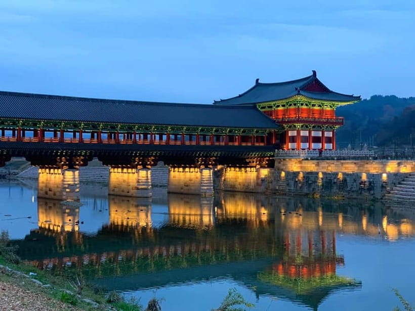 Busan: Winter Healing Park and (Gyeongju/Daegu) One Day Tour - Key points to know before booking