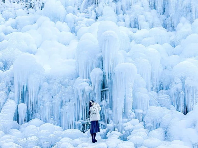 Busan: Winter Healing Park and (Gyeongju/Daegu) One Day Tour - Why the snowy park is the right opening act