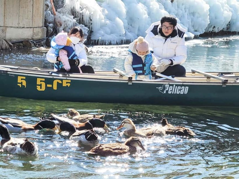 Busan: Winter Healing Park and (Gyeongju/Daegu) One Day Tour - What the 11-hour schedule really means