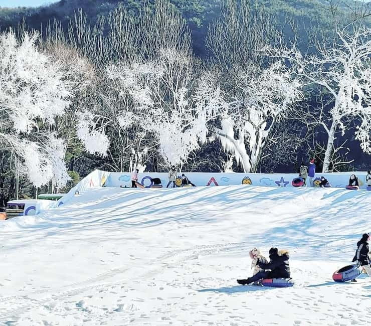 Busan: Winter Healing Park and (Gyeongju/Daegu) One Day Tour - Choosing the Gyeongju route after the park
