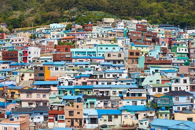 Cruise Layover : Small Group Busan Highlight Day Tour - Gamcheon Culture Village, Hillside Steps and Color