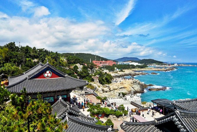 Cruise Layover : Small Group Busan Highlight Day Tour - Gukje Market, Jagalchi Market, and Busan’s Food Culture