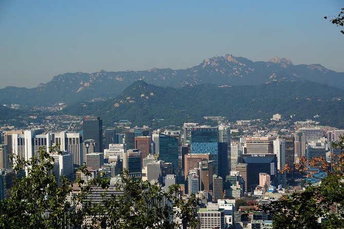 Customized Private Seoul tour: Palace, Market etc(Airport Option) - Choosing a Seoul route that fits nine hours