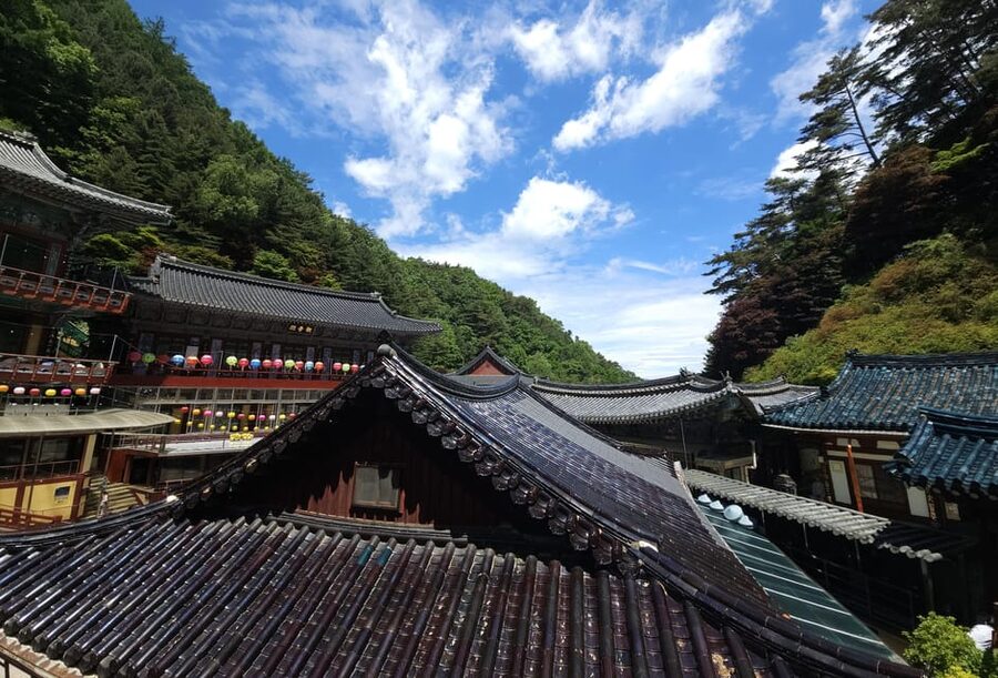Danyang Tour:Guinsa Temple & Bobaljae & Cheongpung Cable Car - Should you book the Guinsa and Cheongpung tour?