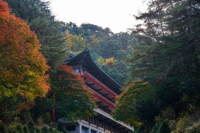 Danyang Tour:Guinsa Temple & Bobaljae & Cheongpung Cable Car - A taste of temple life at lunchtime