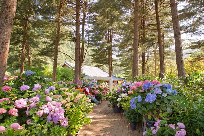 Day Trip to Nami Island with Rail bike and The Garden of Morning Calm - The best seasons for this combination