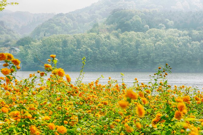 Day Trip to Nami Island with Rail bike and The Garden of Morning Calm - Who will enjoy this day most
